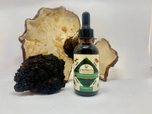 Load image into Gallery viewer, Reishi + Chaga Maine forest blend concentrate (chai flavored)
