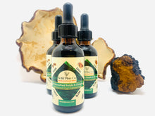 Load image into Gallery viewer, Reishi + Chaga Maine forest blend concentrate (chai flavored)