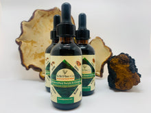 Load image into Gallery viewer, Reishi + Chaga Maine forest blend concentrate (chai flavored)