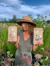 Load image into Gallery viewer, Wildcrafted Maine Reishi teabags