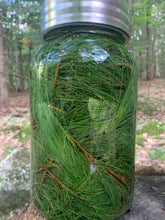 Load image into Gallery viewer, Eastern White Pine Concentrate