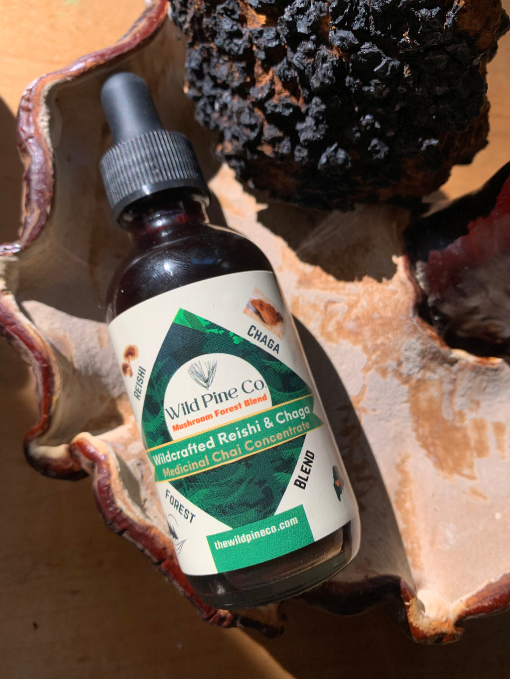 Reishi + Chaga Maine forest blend concentrate (chai flavored)