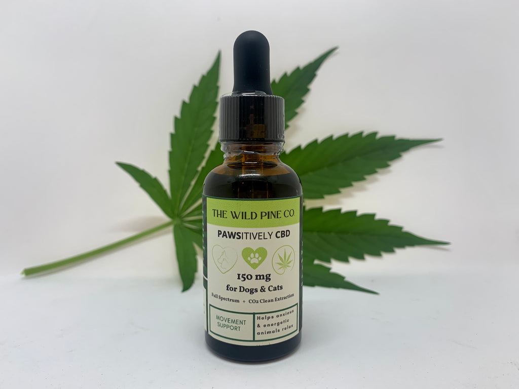 PAWSitively CBD for pets - full spectrum relaxation & movement support formula