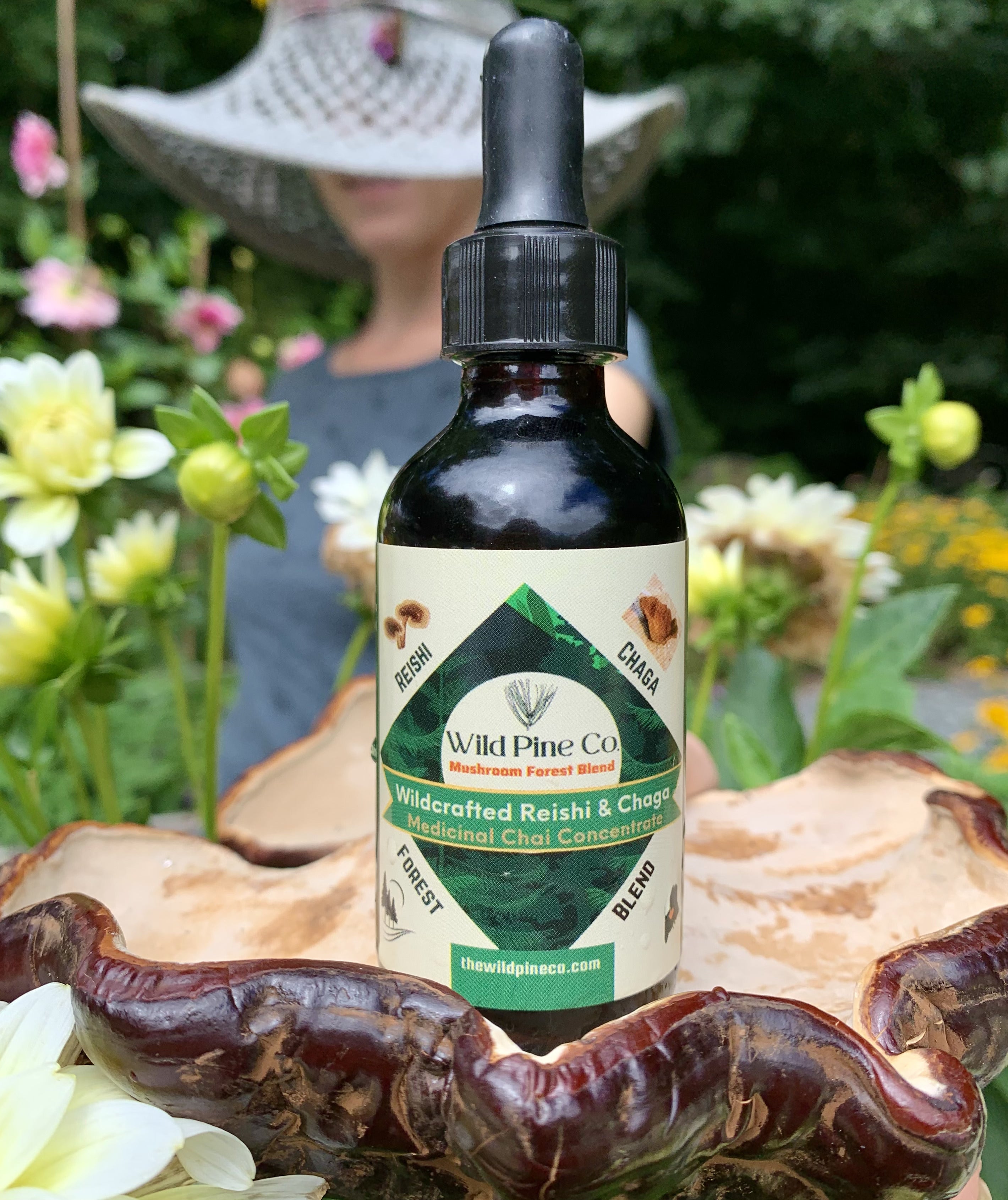 Reishi + Chaga Maine forest blend concentrate (chai flavored)