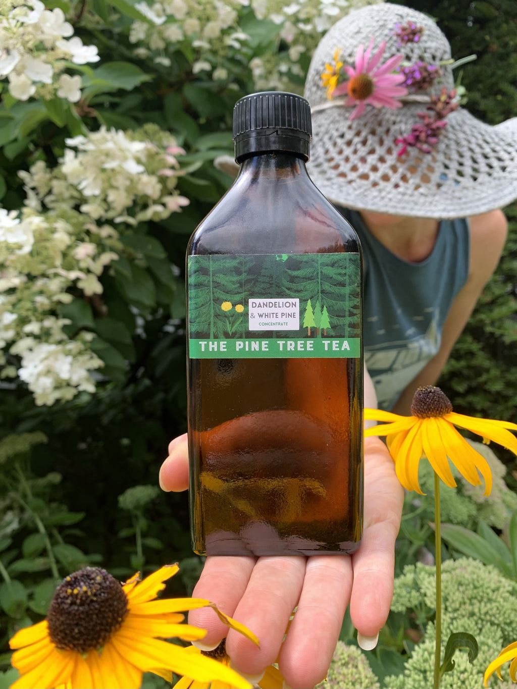 Dandelion & Pine Concentrate - XL 8.5 oz