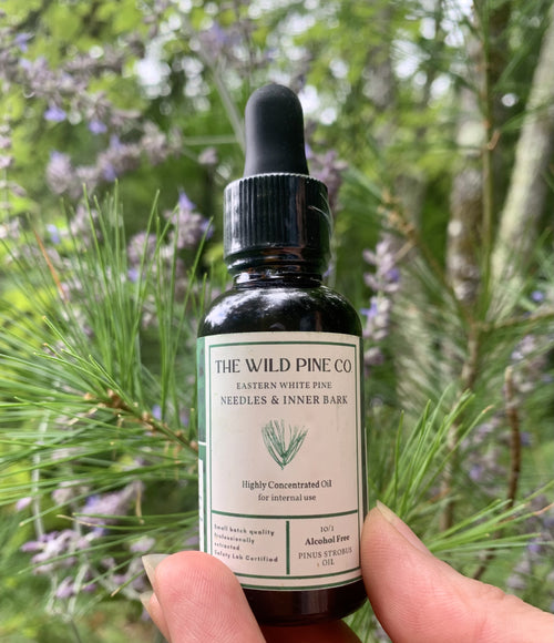 1 oz Highly concentrated white pine oil (alcohol free) - 60 day supply