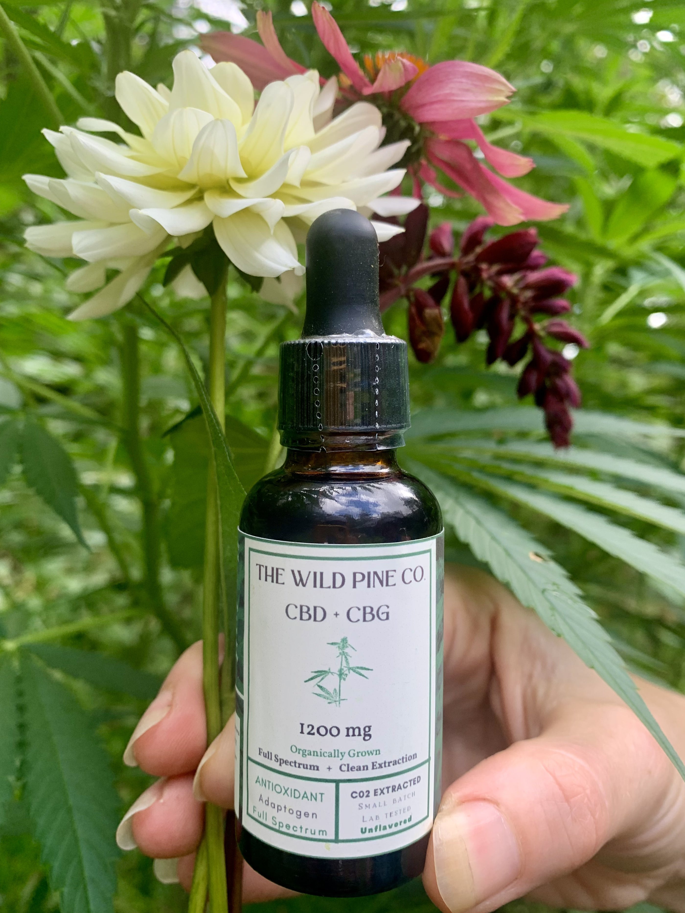 Organically Farmed in Western Maine Full Spectrum 2400 MG CBD + CBG oil- with full panel test results for every small batch made