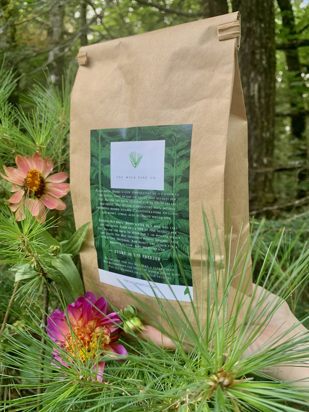 1/4 pound (4 oz) Fresh Eastern White Pine Needle Tea ( makes 50 cups of tea)