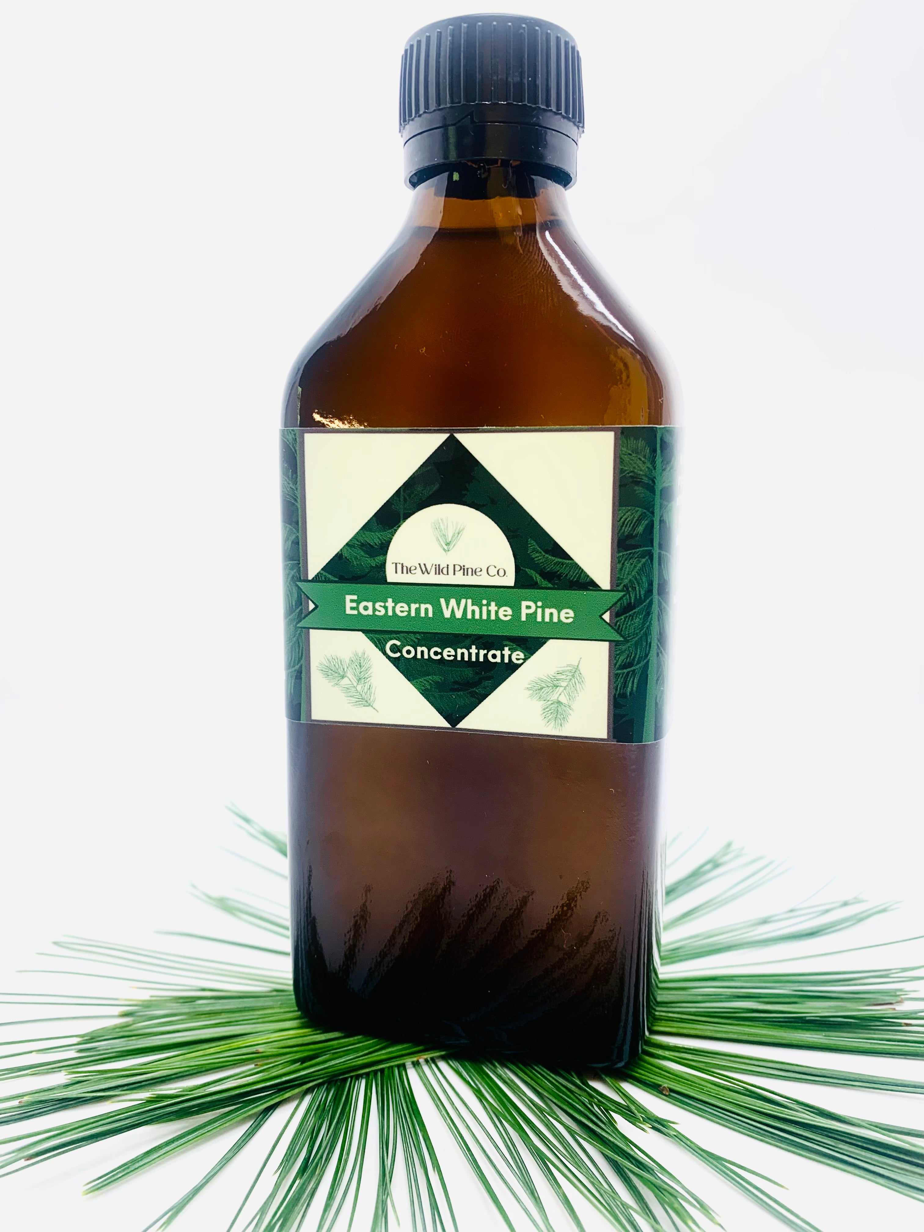 White Pine Needle Concentrate - XL size (8.5 oz) Small Batch craft made