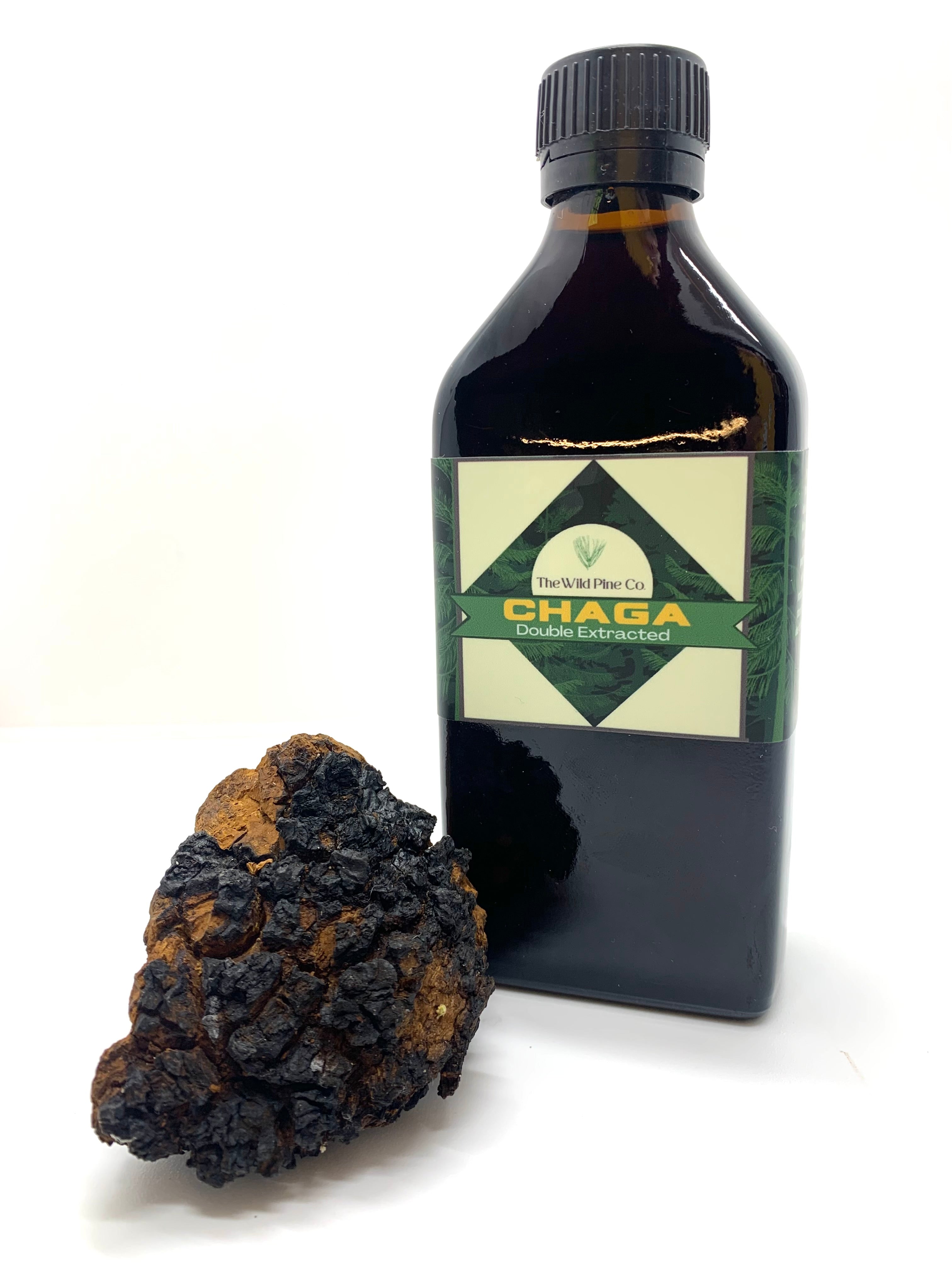 Wildcrafted double extracted Chaga Concentrate - XL 8.5 oz