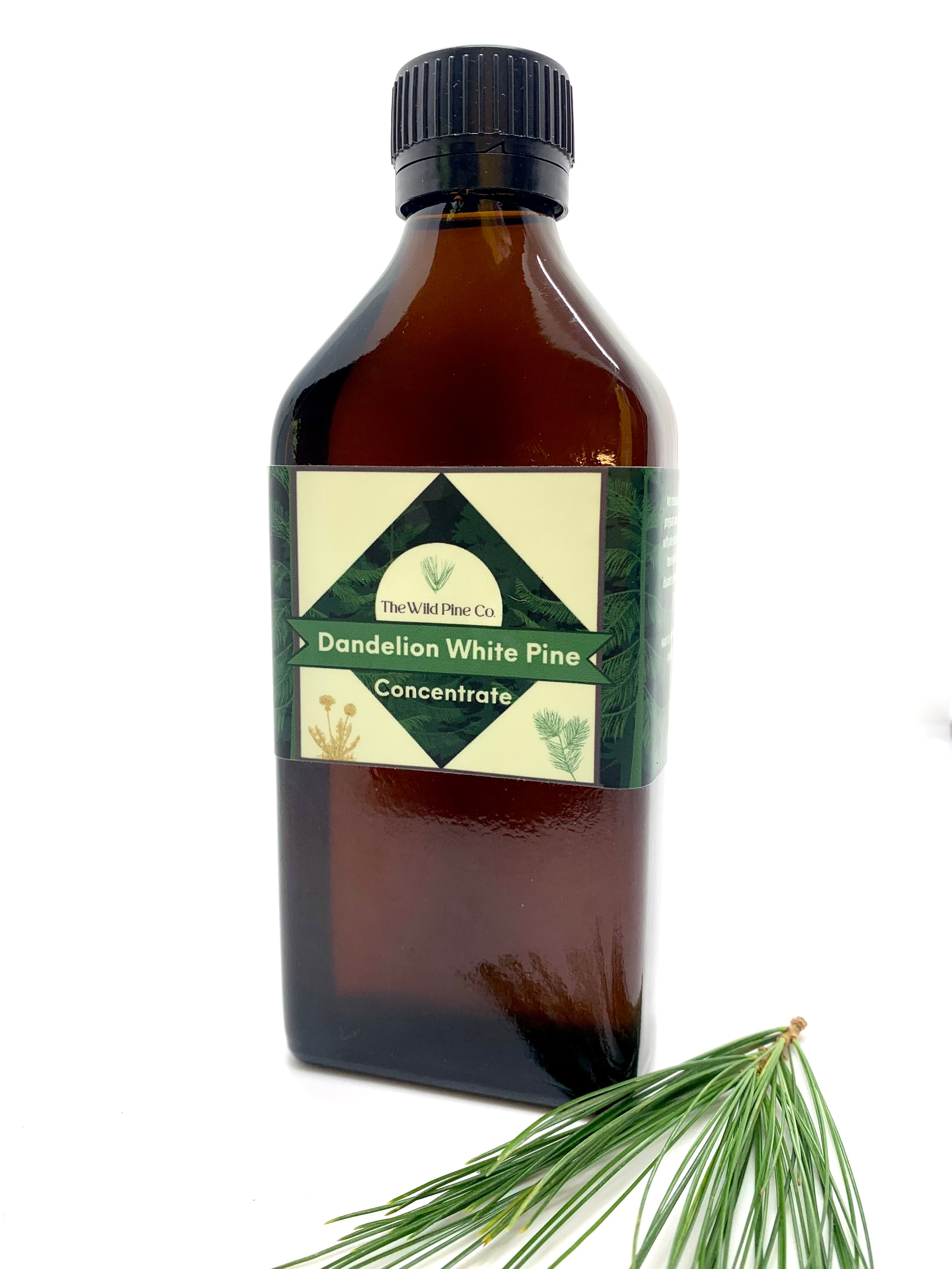 Dandelion & Pine Concentrate - XL 8.5 oz