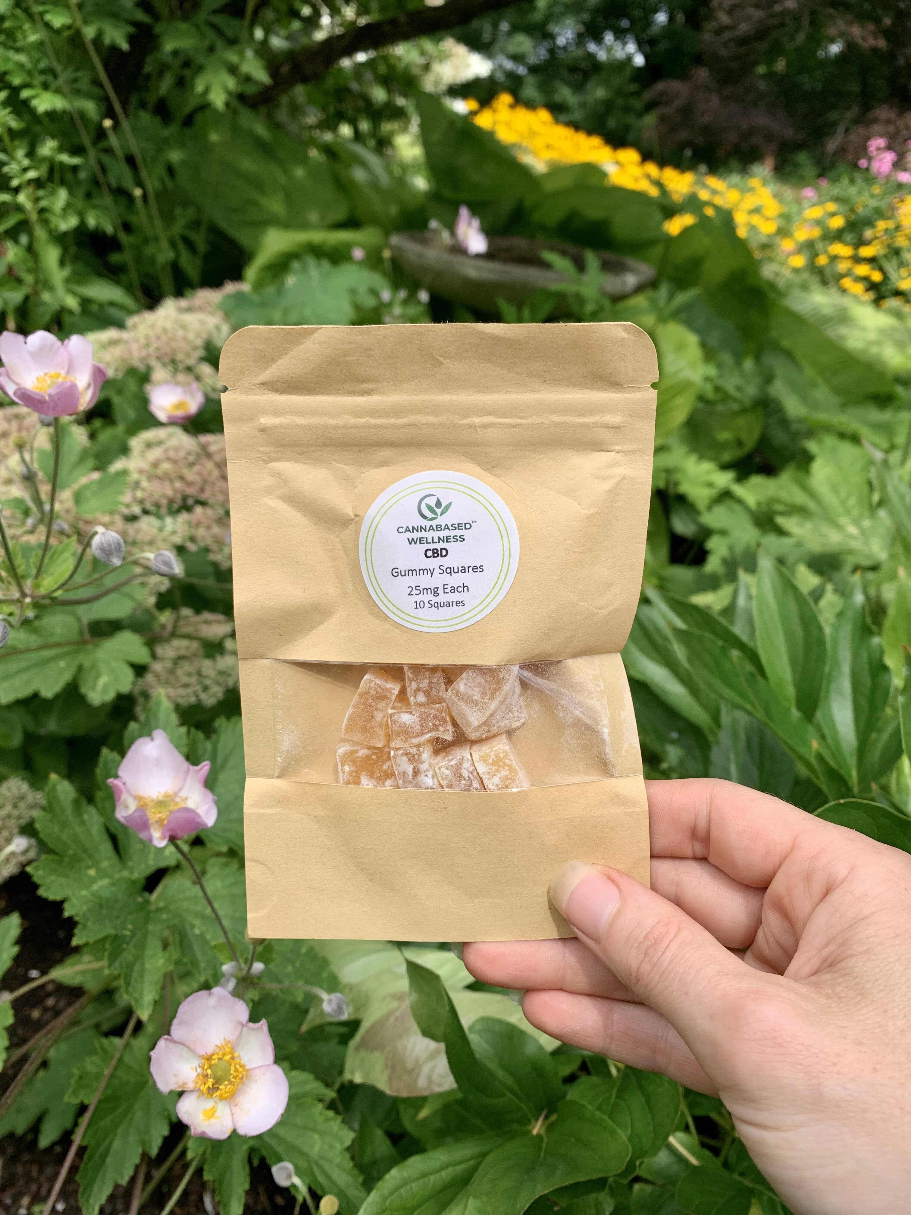 Organic & Locally Farmed in Western Maine - Full Spectrum 25 MG CBD gummies