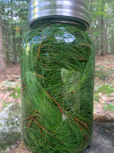 Load image into Gallery viewer, Eastern White Pine Concentrate
